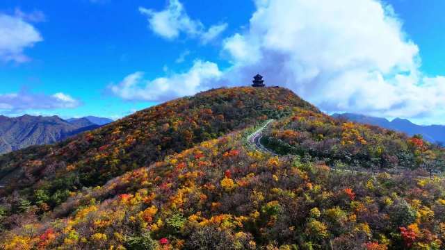 【#不爬山也能赏秦岭绝美秋景#】 陕西汉中龙头山景区迎来秋日盛景,五