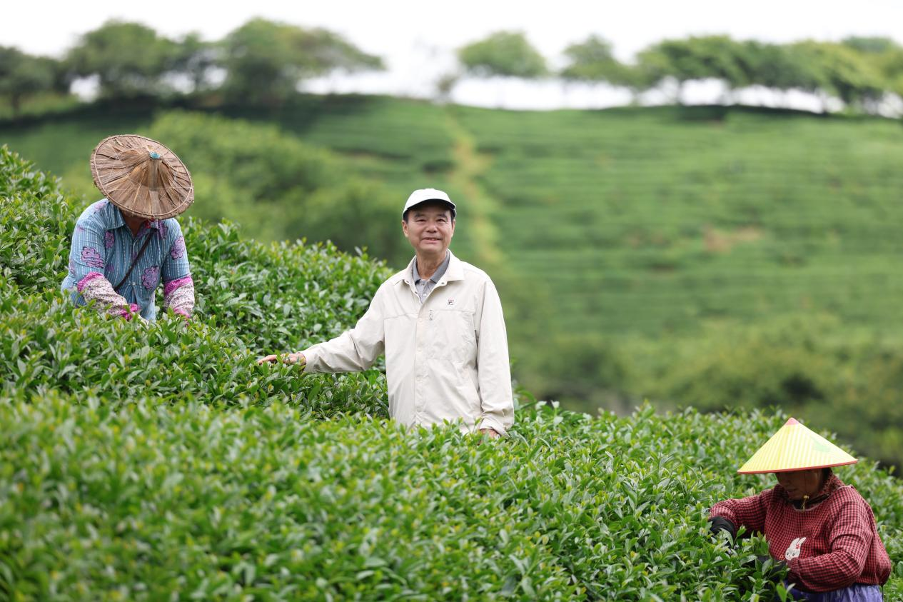 谢东庆在茶园里。新华网发（受访者供图）