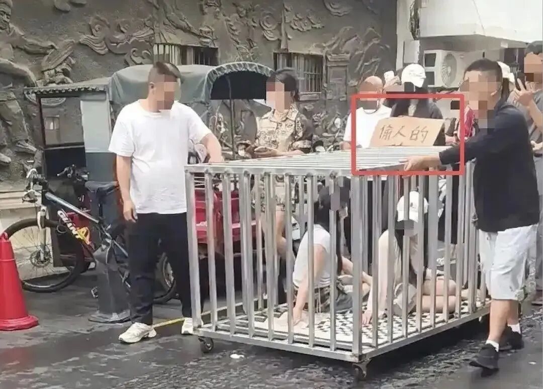 （图源：长沙晚报掌上长沙）