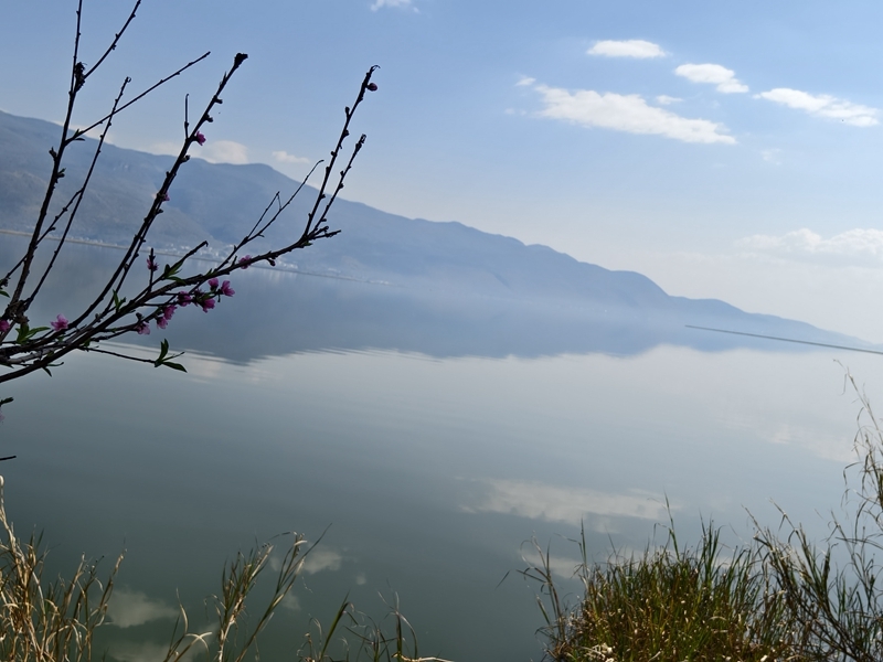 新春走基层|山朝水朝,不如人来朝——异龙湖畔感受高原湖泊治污成果