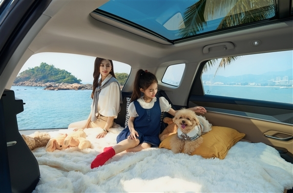 220km 纯电续航接近翻倍!比亚迪2026款宋Pro DM-i长续航上市:11.98万起