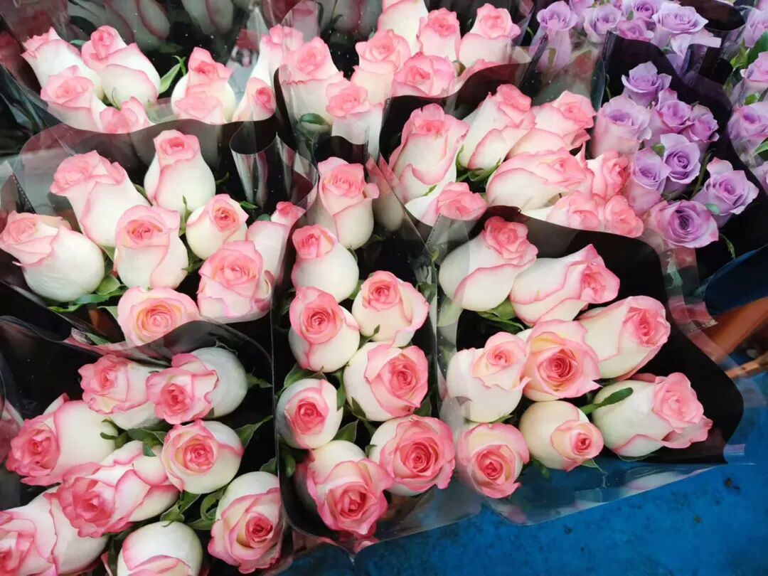 摄图网_500572848_婚礼手捧花(企业商用).jpg