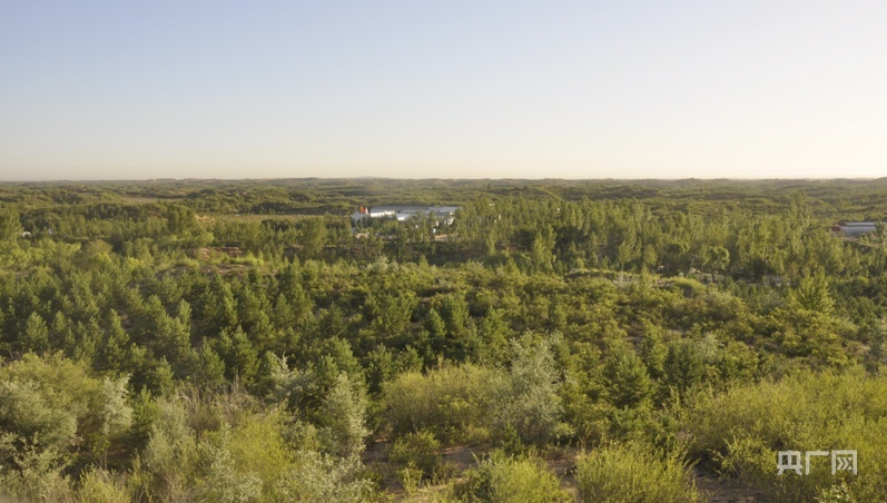 神木市毛乌素治沙造林基地生态治理成效对比图：上图摄于2005年，下图摄于2025年（央广网发 尚文宇 摄）