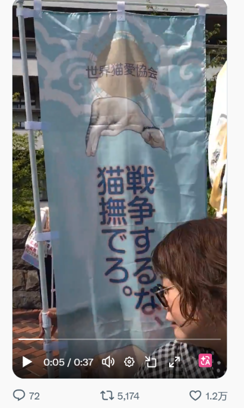 现场抗议旗帜：“要撸猫不要战争”