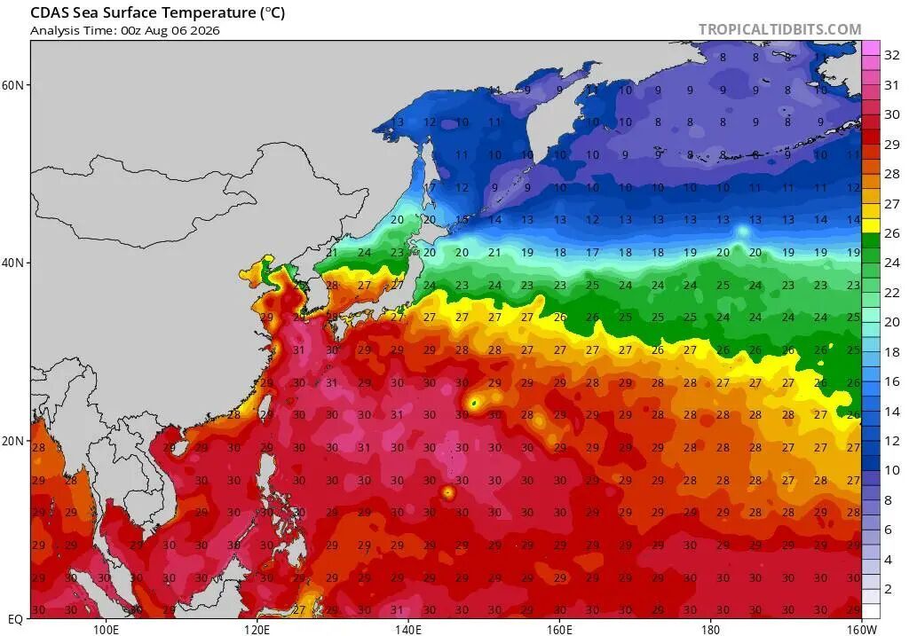 为什么人人都在追白海豚?