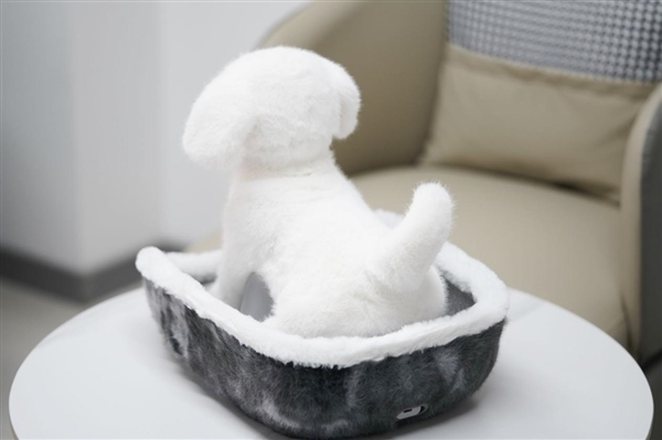 会撒娇能成长!科沃斯毛团陪伴机器人图赏