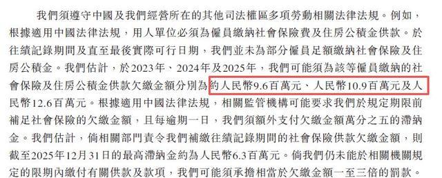 纳真科技招股书披露的社保公积金欠缴相关说明