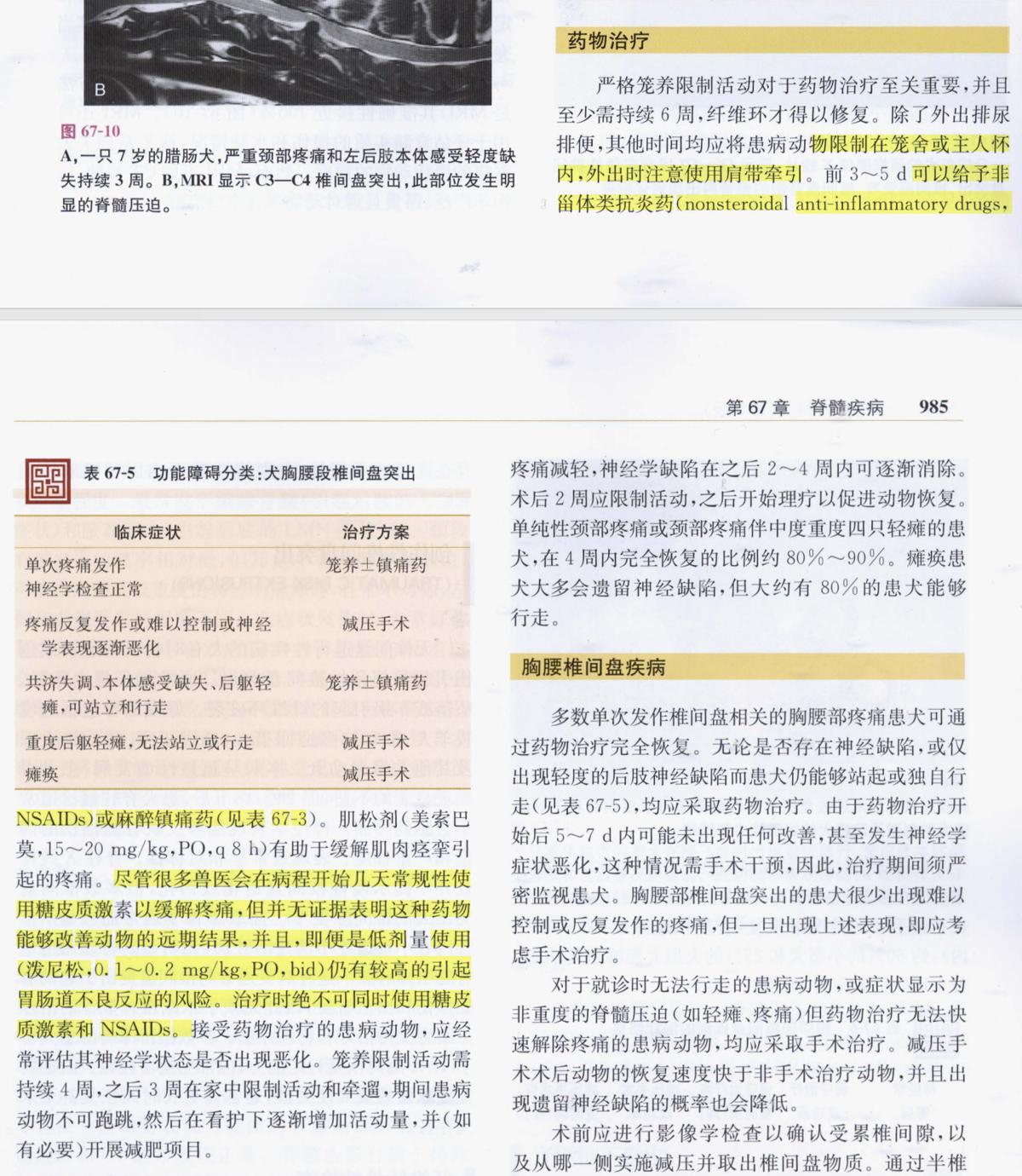 812fa467b5fa7cc175a8dadab48be5e1.jpeg