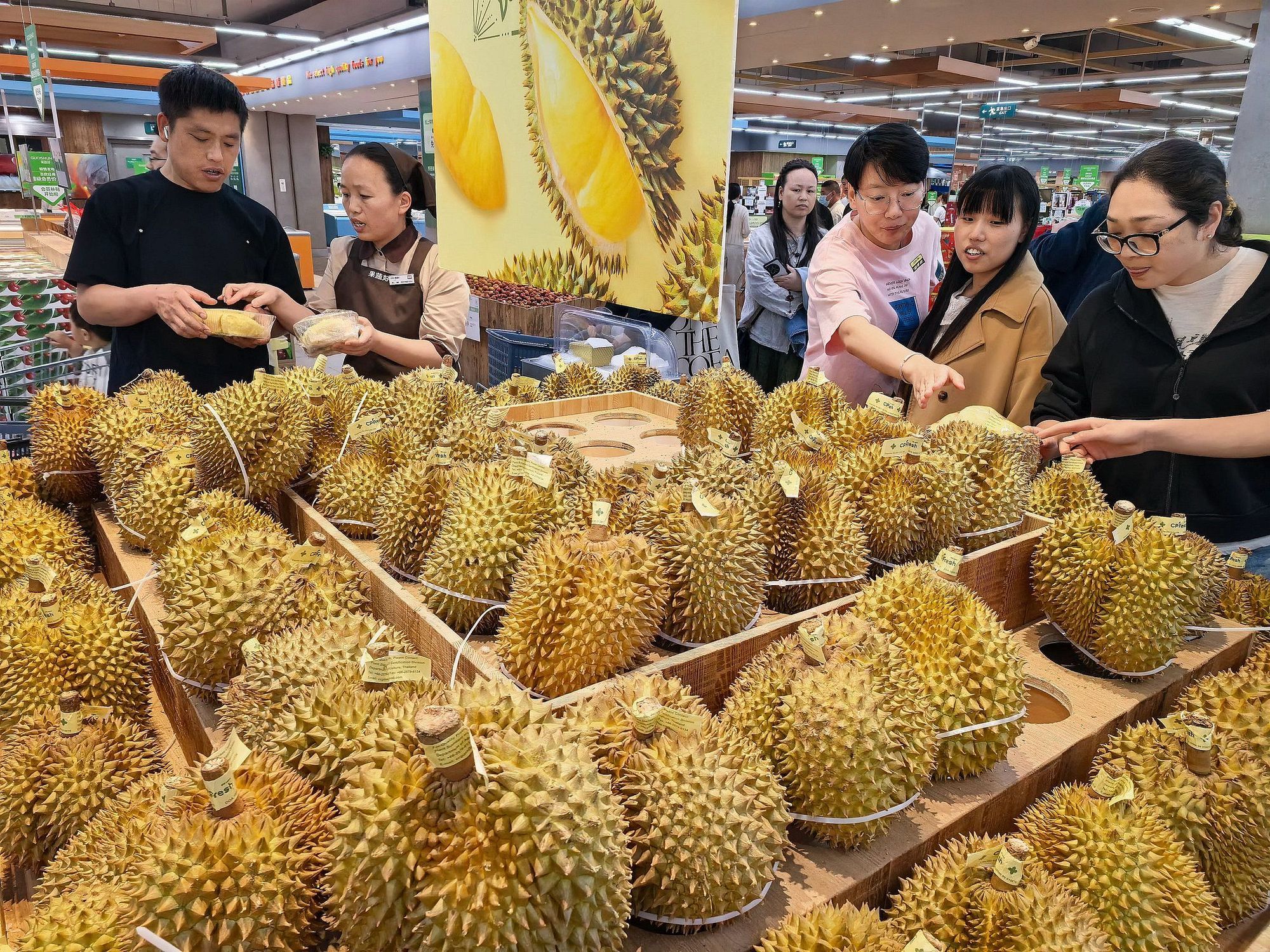 2026年5月2日,杭州,东南亚榴莲进入采摘上市高峰期,随着中老泰“全铁冷链班列”常态化运行,大量新鲜榴莲快速抵达国内市场,杭州市场的榴莲价格下降超三成。