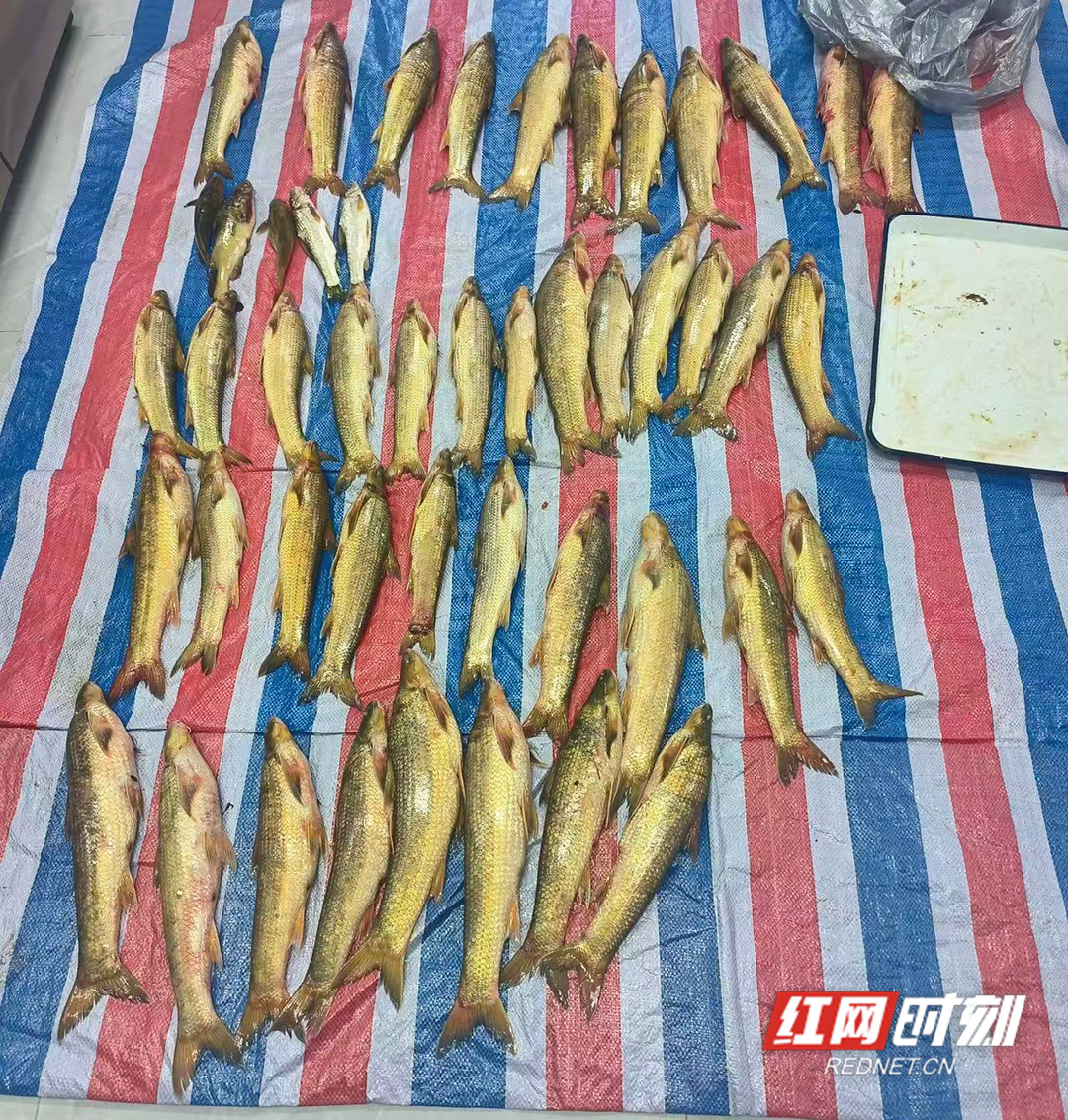 WechatIMG815副本.jpg