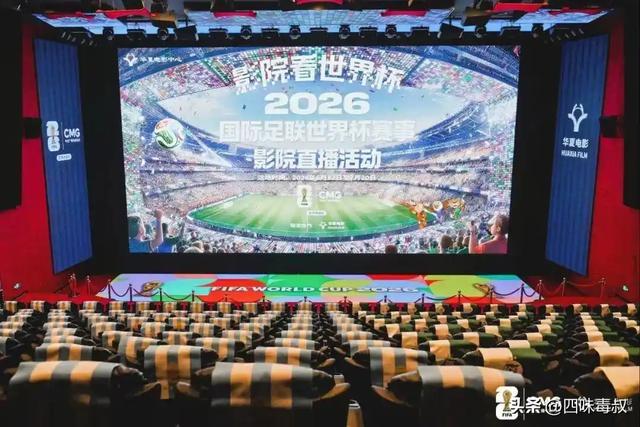 足球盛宴点燃全球，小众影视能否借势突围？  第4张