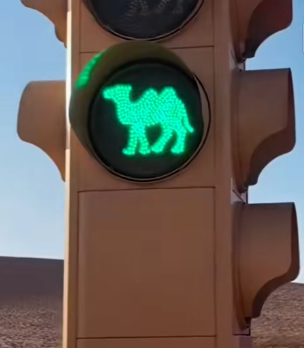 0e16e0a3c2c3b5a1a12afd8ef312de82.png