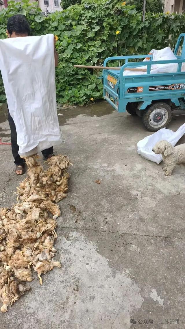 现场情况。受访方供图。