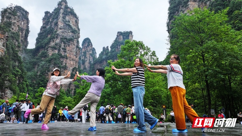 微信图片_20260917103715_1298_94.jpg