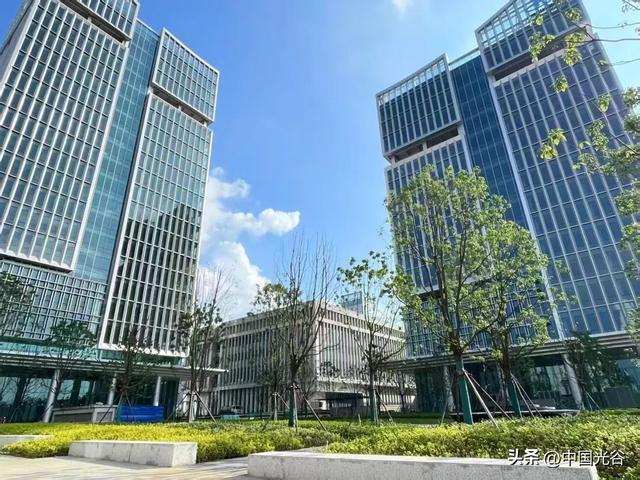 产业园一期绿化实景