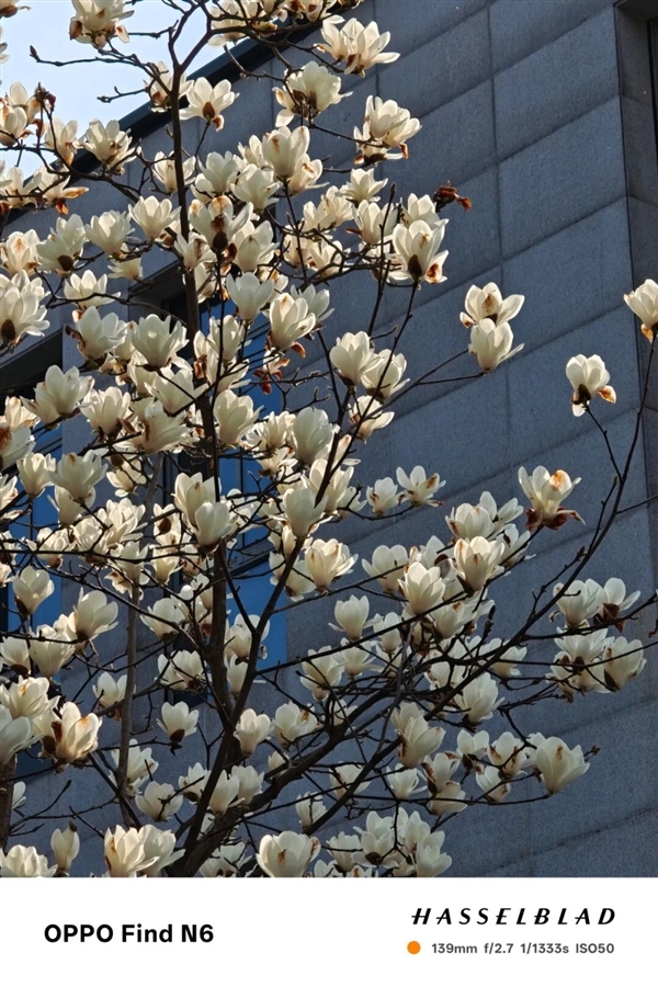 超越行业老大哥！OPPO的新折叠屏好像真的感受不到折痕了