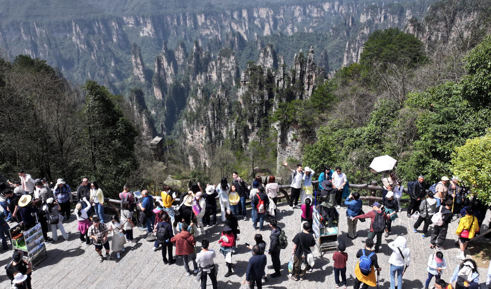 4月4日，游客在湖南张家界国家森林公园天子山景区游玩（无人机照片）。新华社发（吴勇兵 摄）