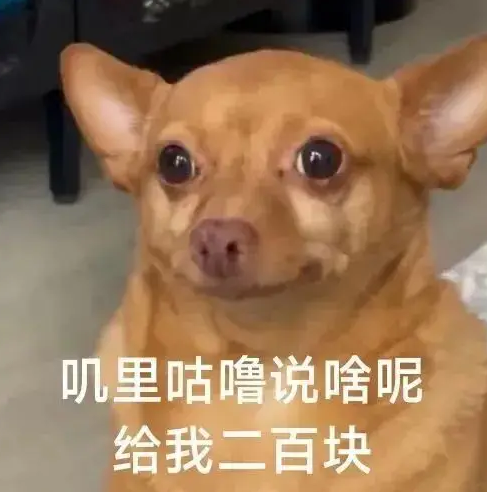长鑫上市 有人一夜暴富、有人拍断大腿！