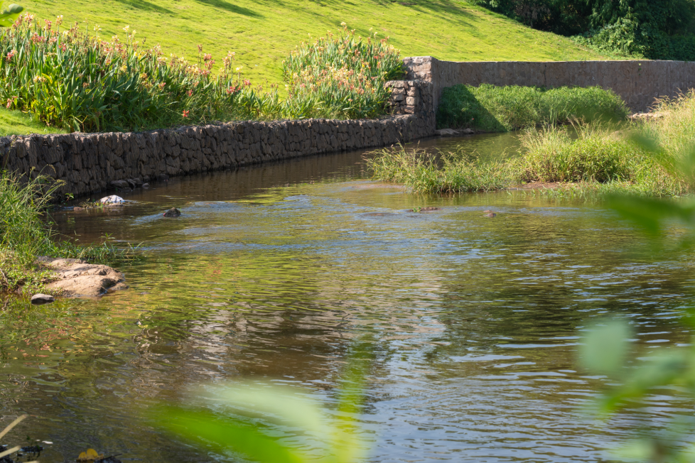 整治后的虎溪河映新颜（央广网发 重庆高新区融媒体中心供图）