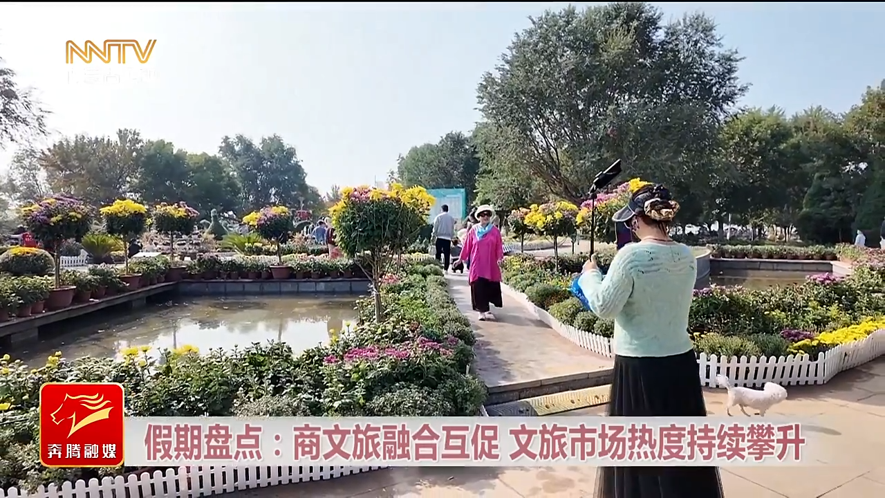 视频截图