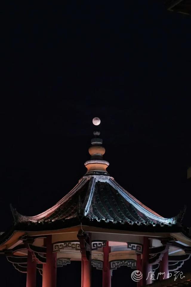 厦门日报拍客 装仙 摄