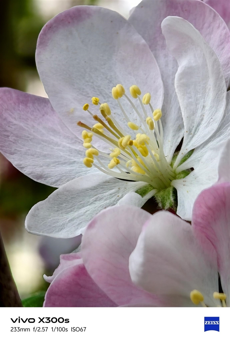 天玑9500搭配蔡司影像 vivo X300s手机全面评测:省心耐用的直屏主力机