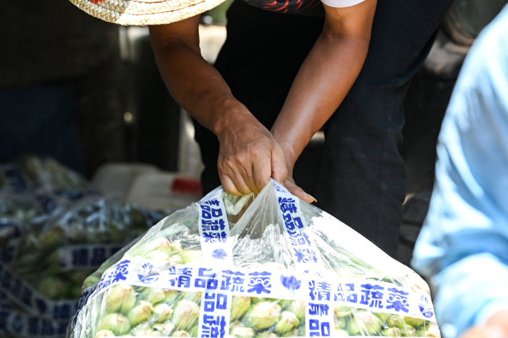 7月13日，在广西横州市镇龙乡那旭村，救援人员搬运生活物资。新华社记者 曹祎铭 摄
