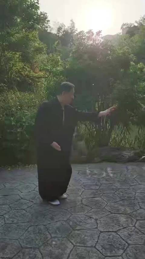 常州吕保国演练的形意拳鸡形撕把