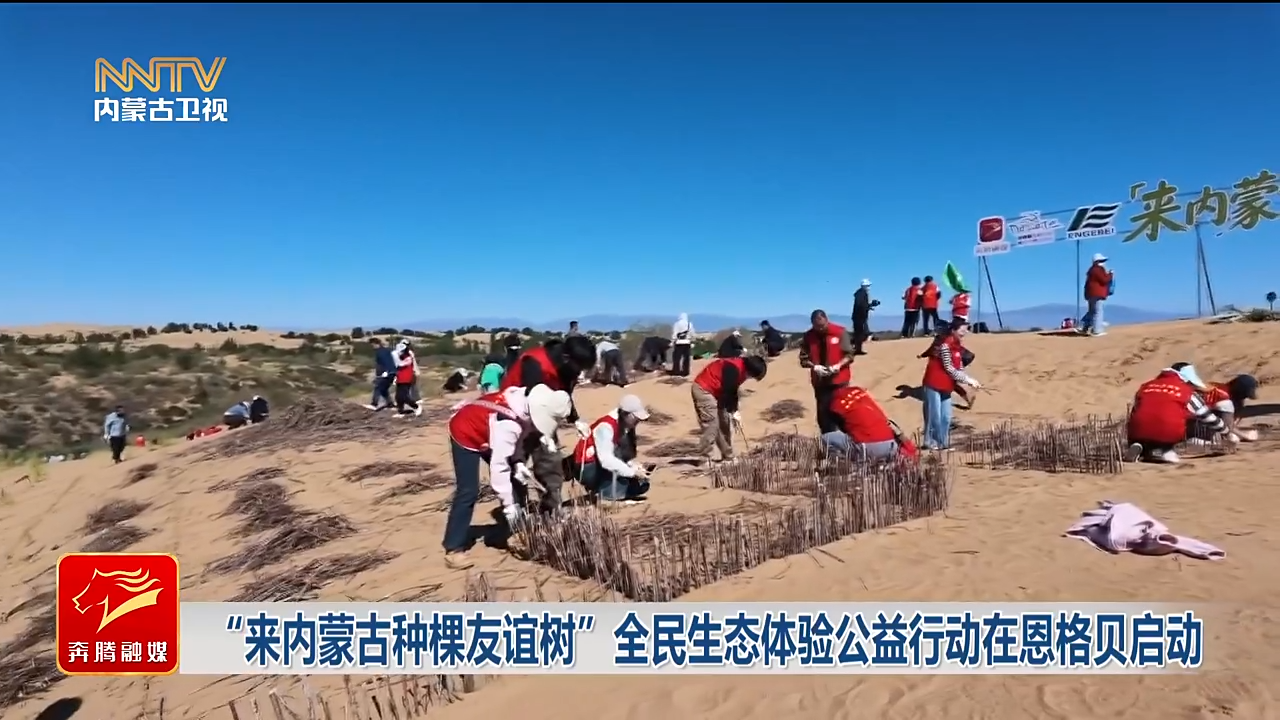 视频截图