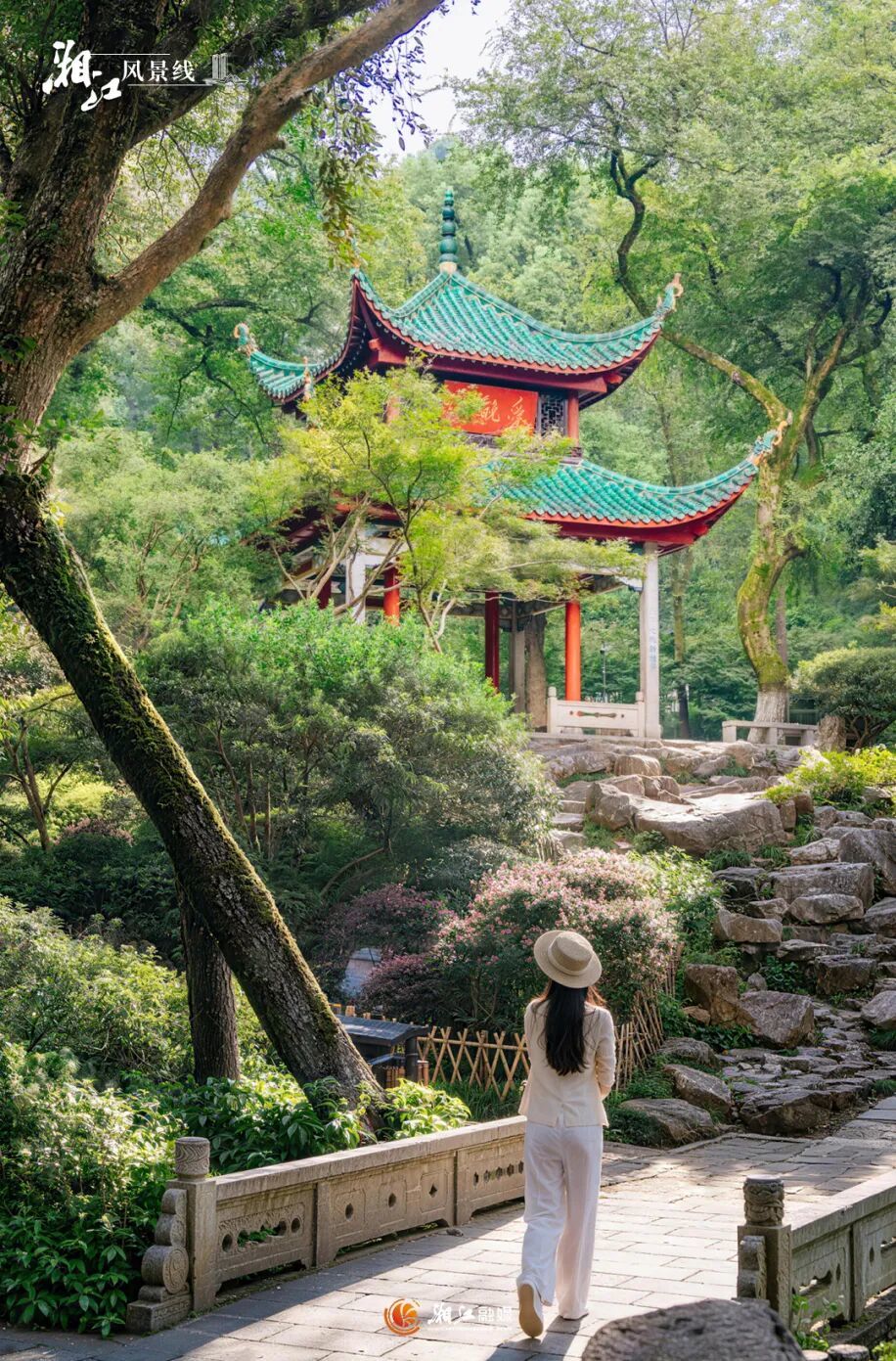 星球引力场.jpg