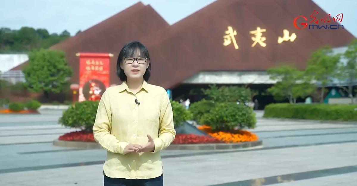 【理响中国&middot;幸福有“理”】天眼地网，守护山海有智慧