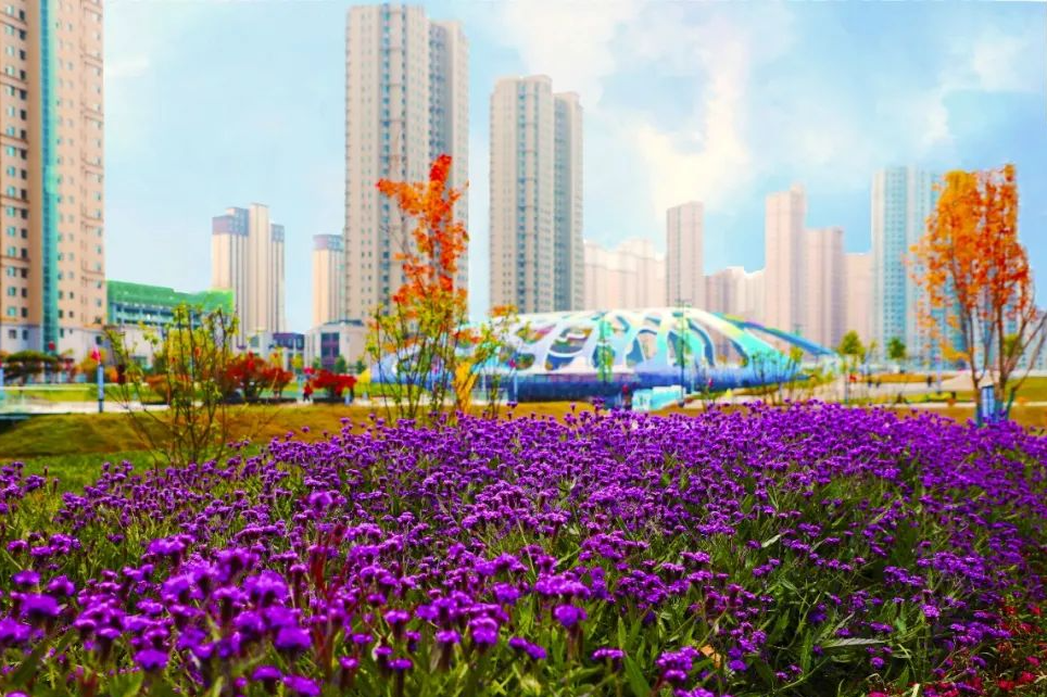 微信图片_20250923164601_421_8.png