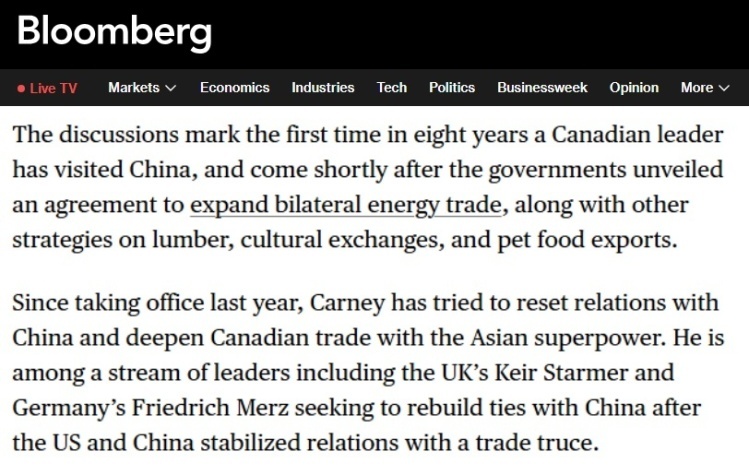 彭博社网站报道截图