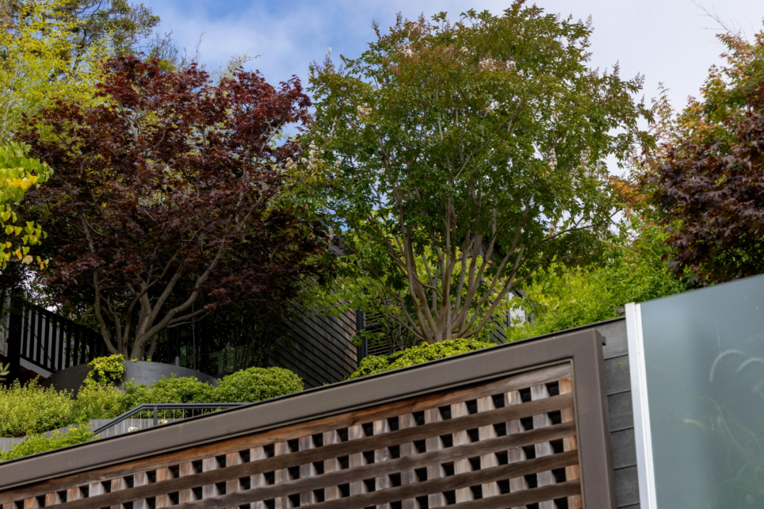 奥特曼豪宅48小时遇袭两次,反AI怒火烧向全球