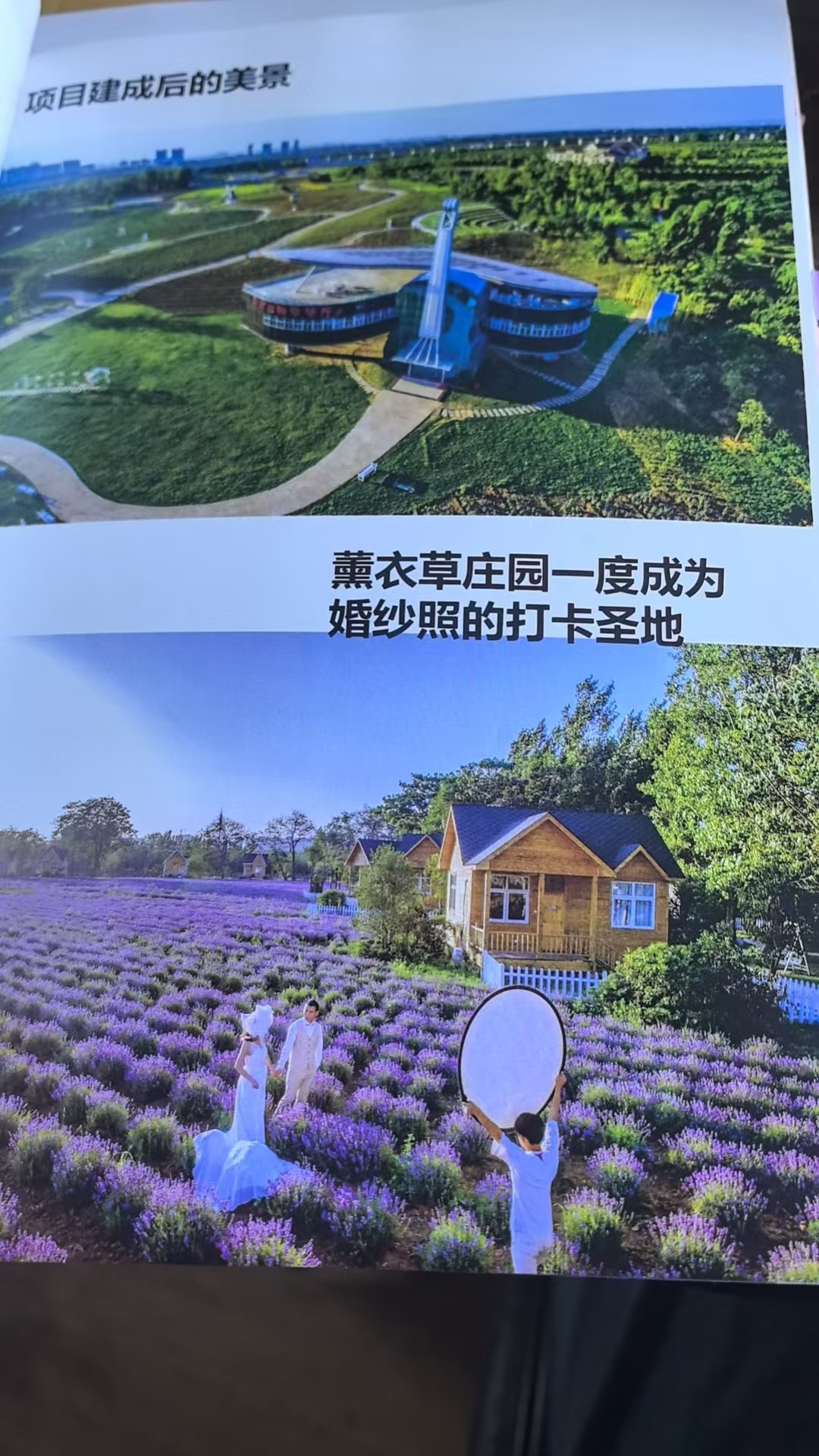 (景区里原来的打卡地 受访者供图)