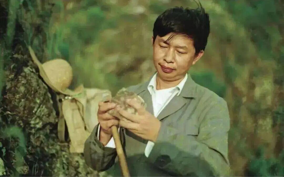 勘探中的陈景河