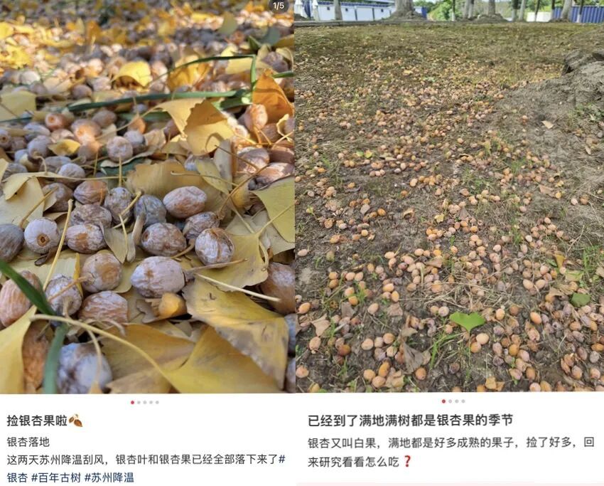 微信图片_20261012141952_657_8.jpg