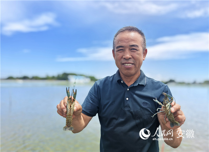 4、老葛和他精心饲养的“小青龙”。人民网记者 汪瑞华摄