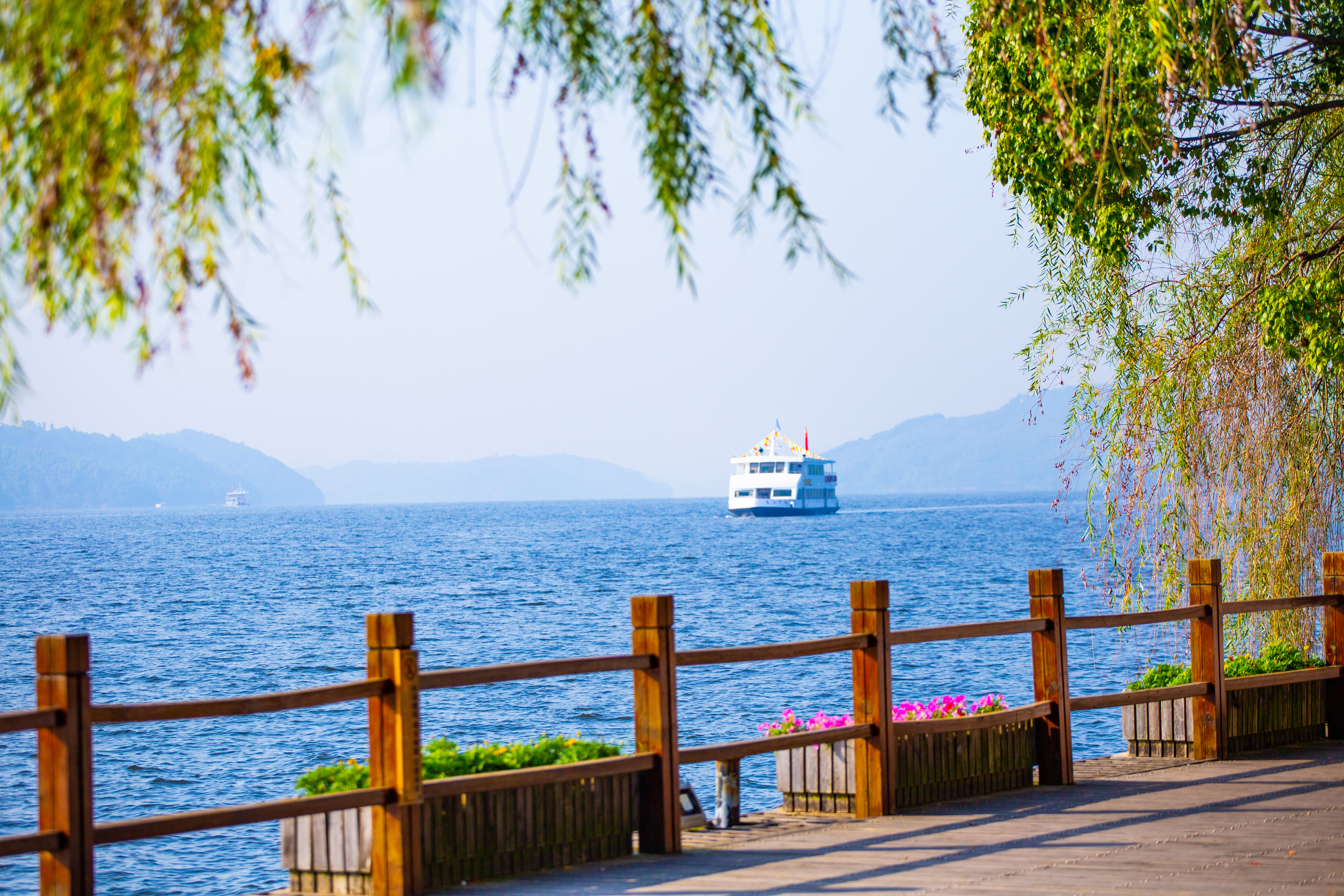 前景_树_湖面_游船.jpg