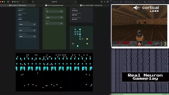 澳大利亚公司打造人类活体神经元计算机,可运行《毁灭战士》