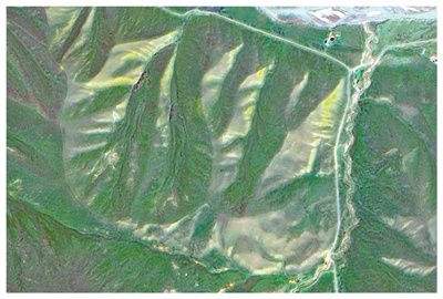 祁连山国家公园（候选区）青海片区祁连县野牛沟乡大浪村2025年卫星遥感图。