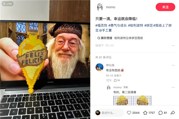 拼豆正式进入大考研时 代