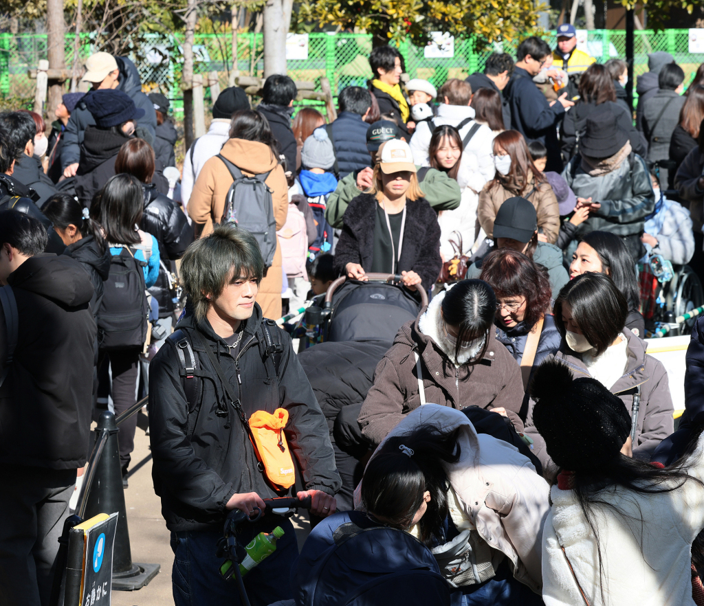 2026年1月25日,很多民众带着孩子们前去送别大熊猫“晓晓”“蕾蕾”。