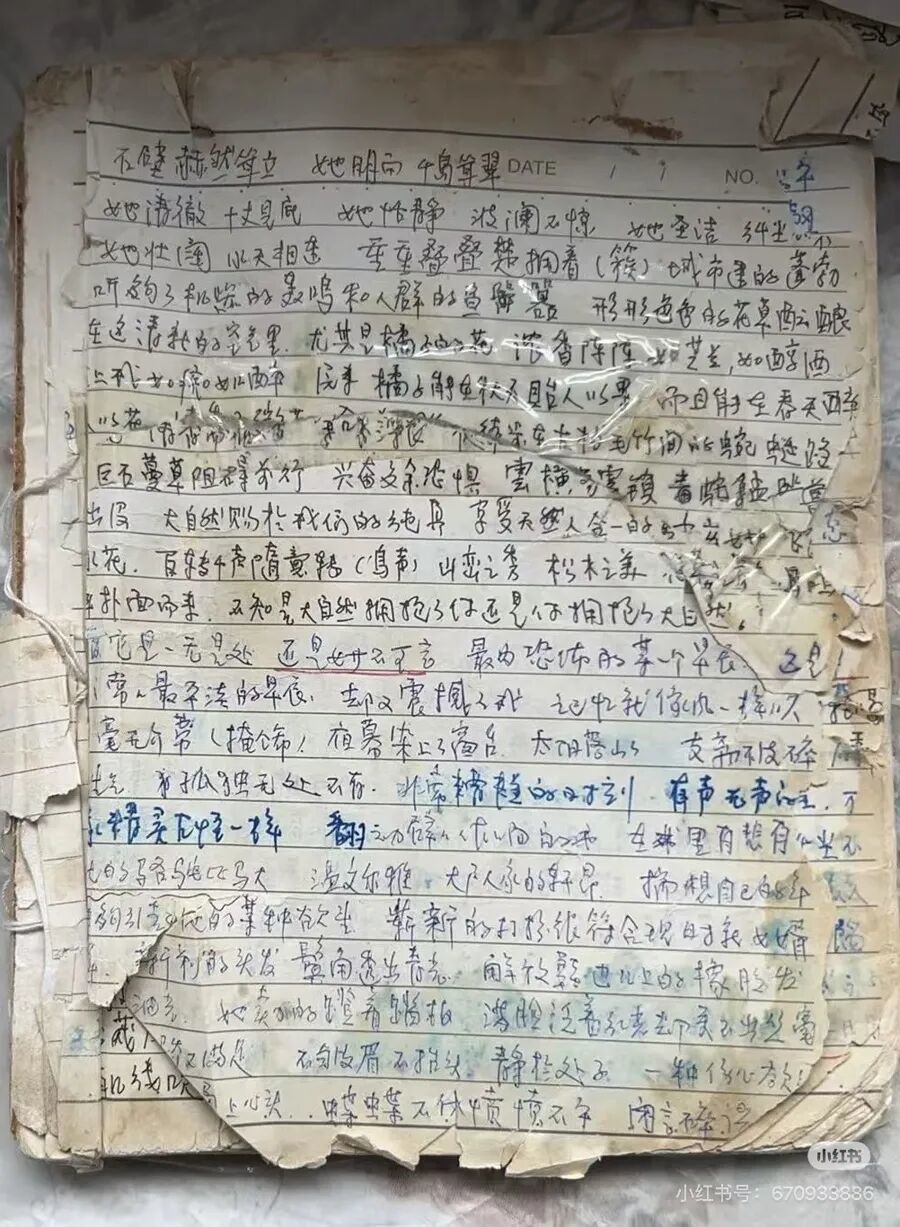 杨本芬的摘抄本