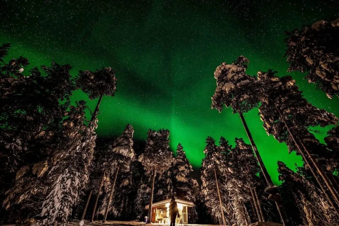 芬兰,森林里的极光景观。(图/视觉中国)