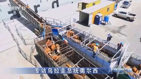 云图片