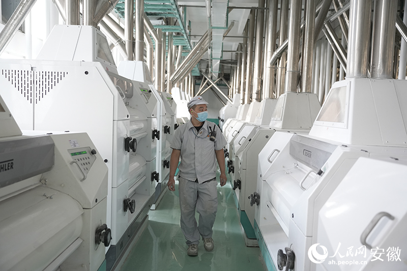 五得利集团亳州面粉有限公司自动化生产线。人民网记者 王锐摄