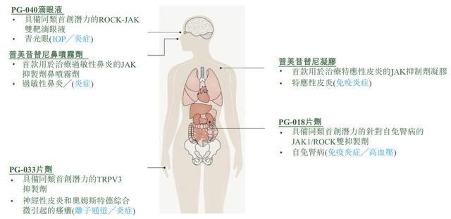普祺医药在研管线及对应人体治疗部位示意