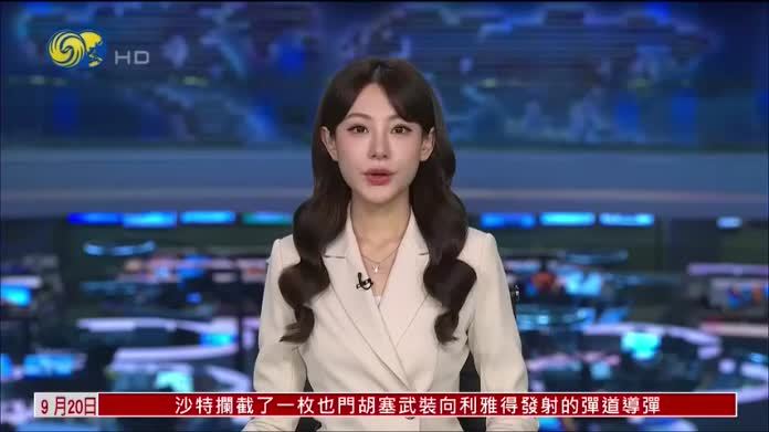 土耳其外长：土耳其或给予沙特军事技术援助