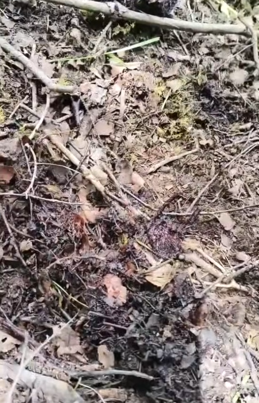 现场留有血迹